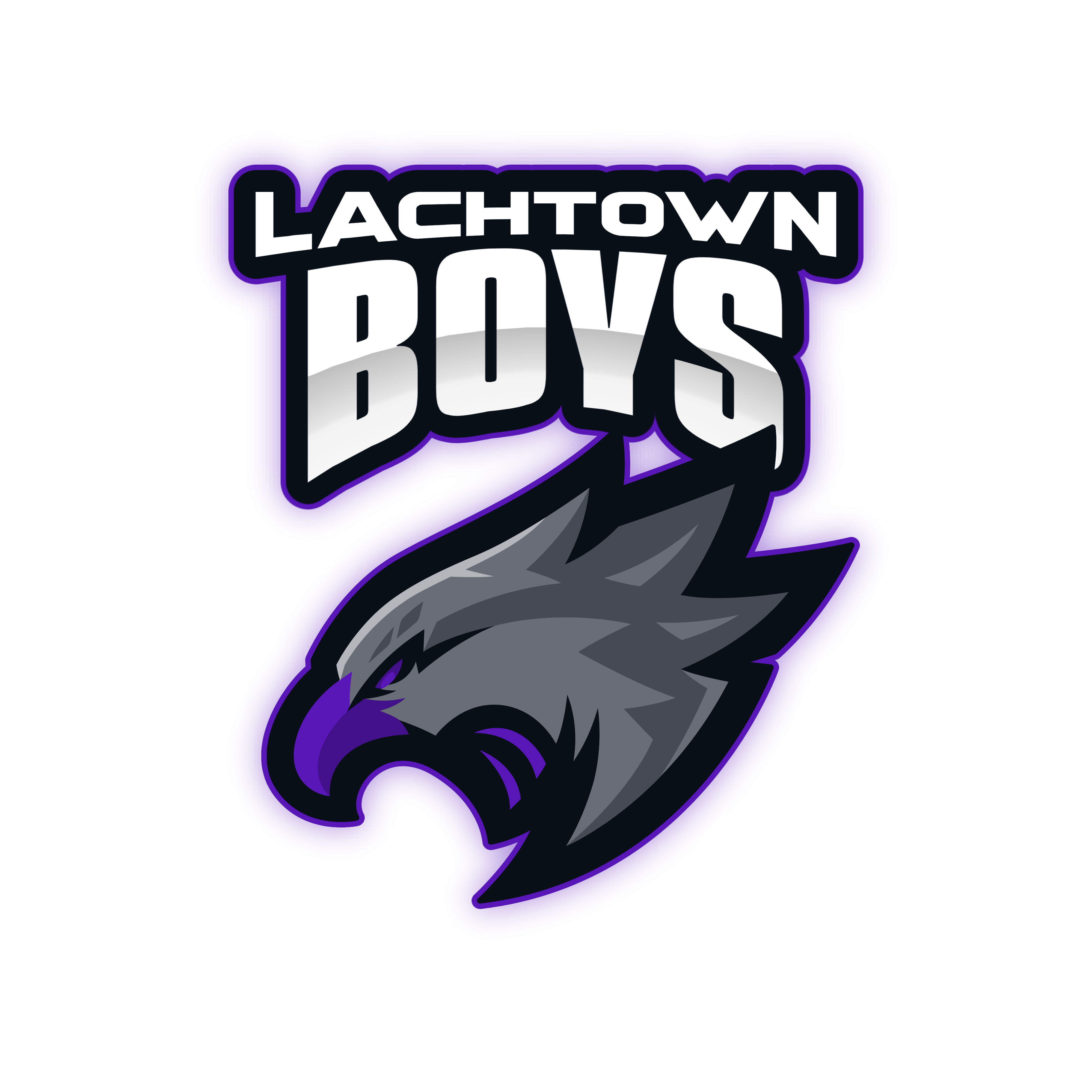 team_logo