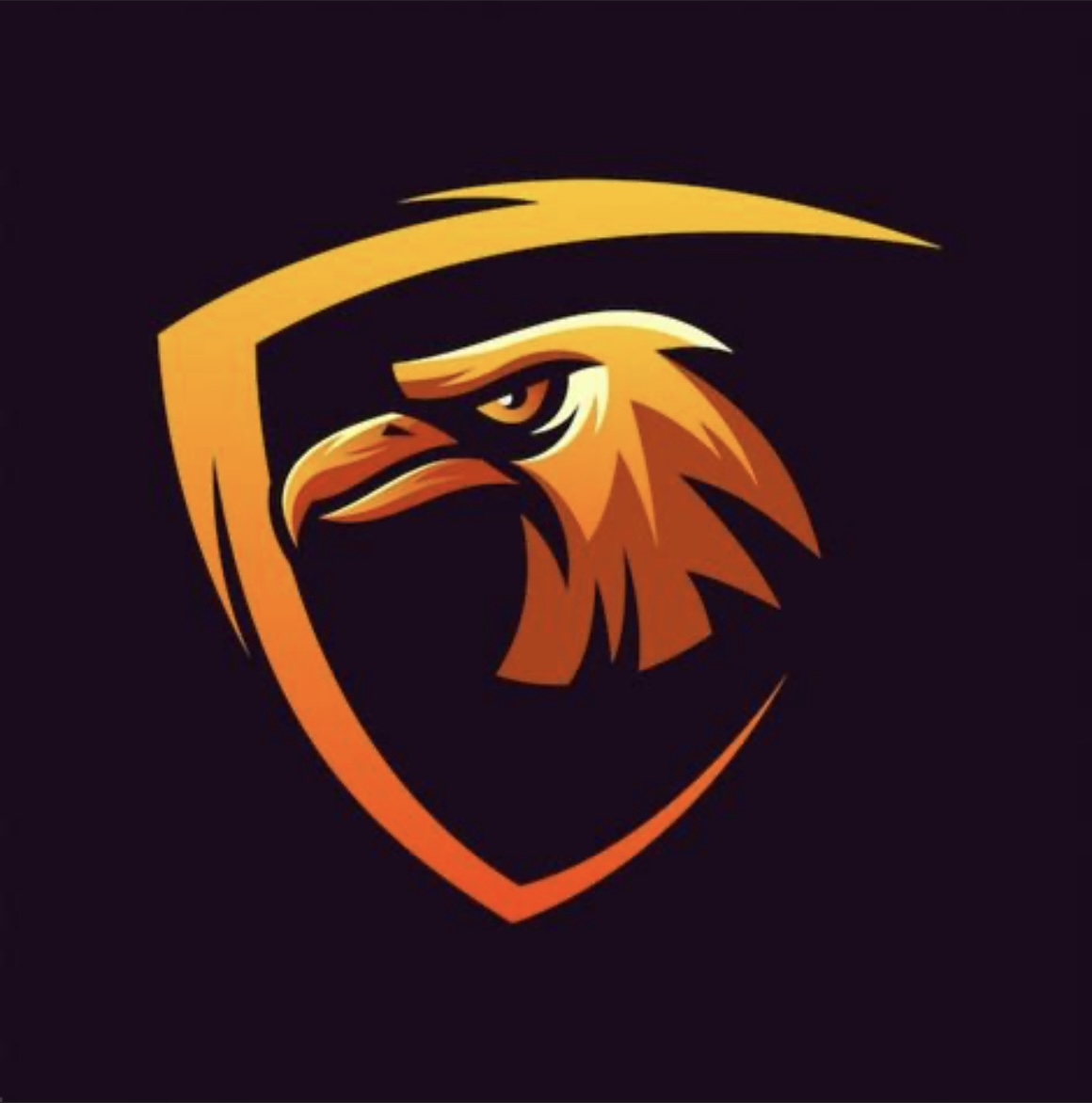 team_logo