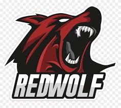 team_logo