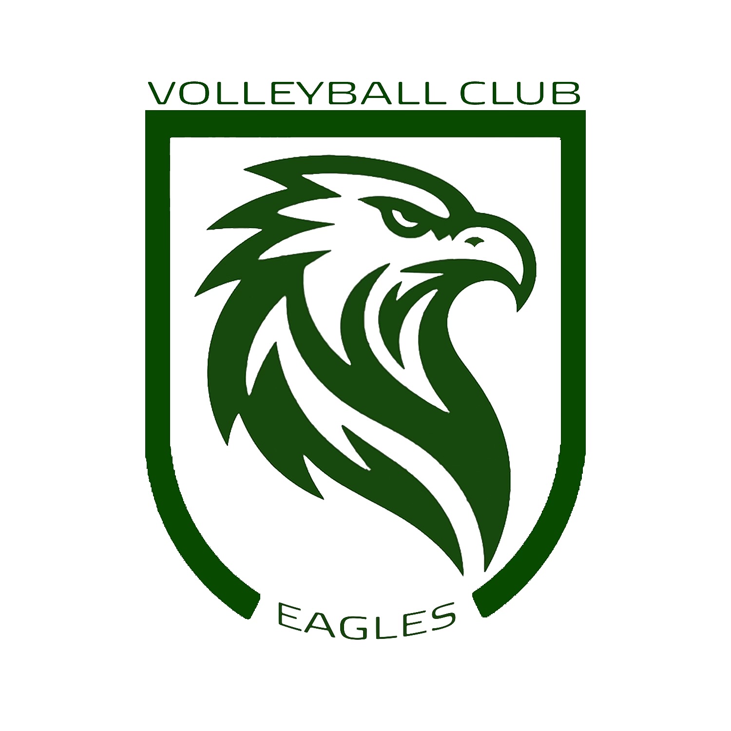 team_logo