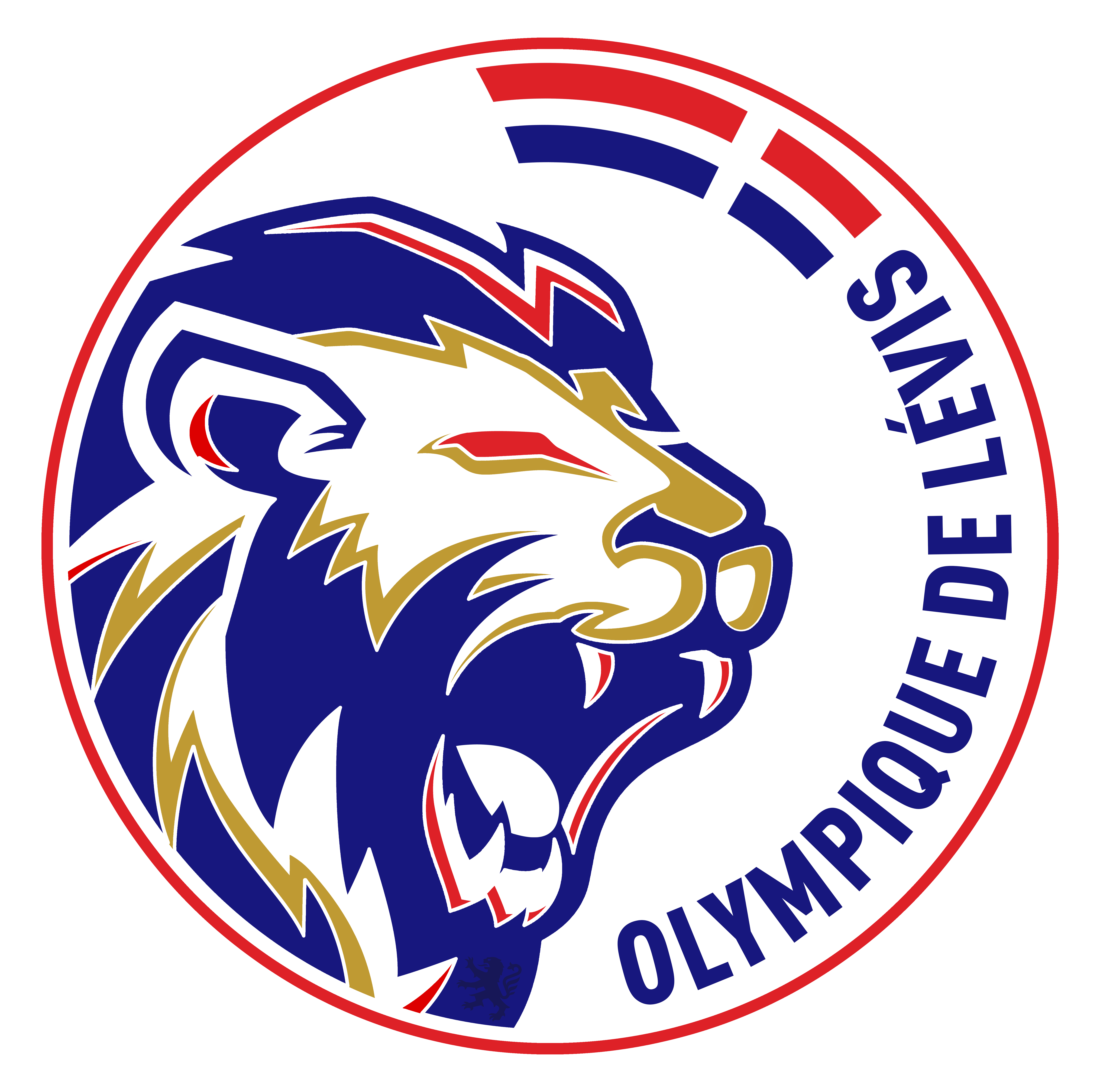 team_logo