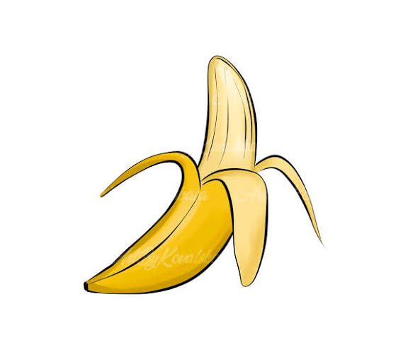 team_logo