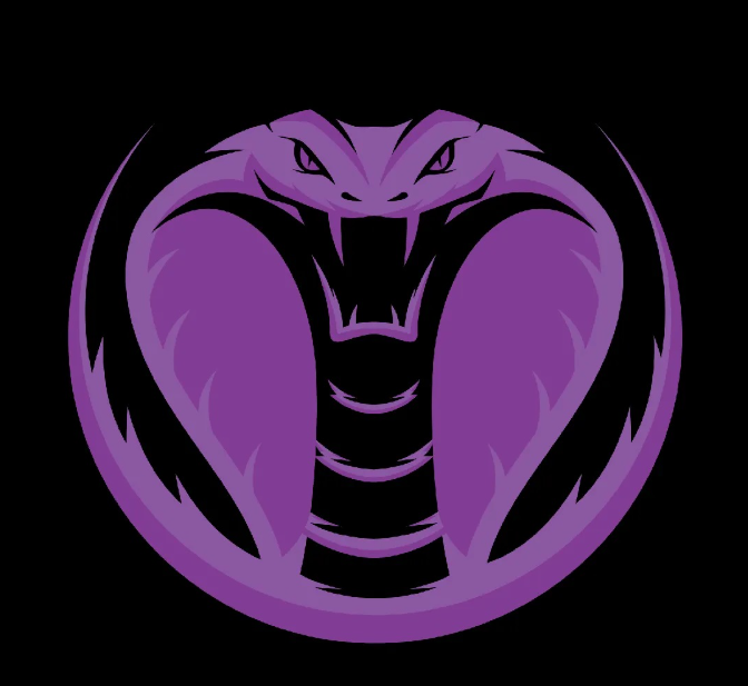 team_logo