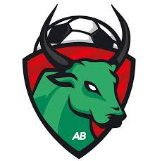 team_logo