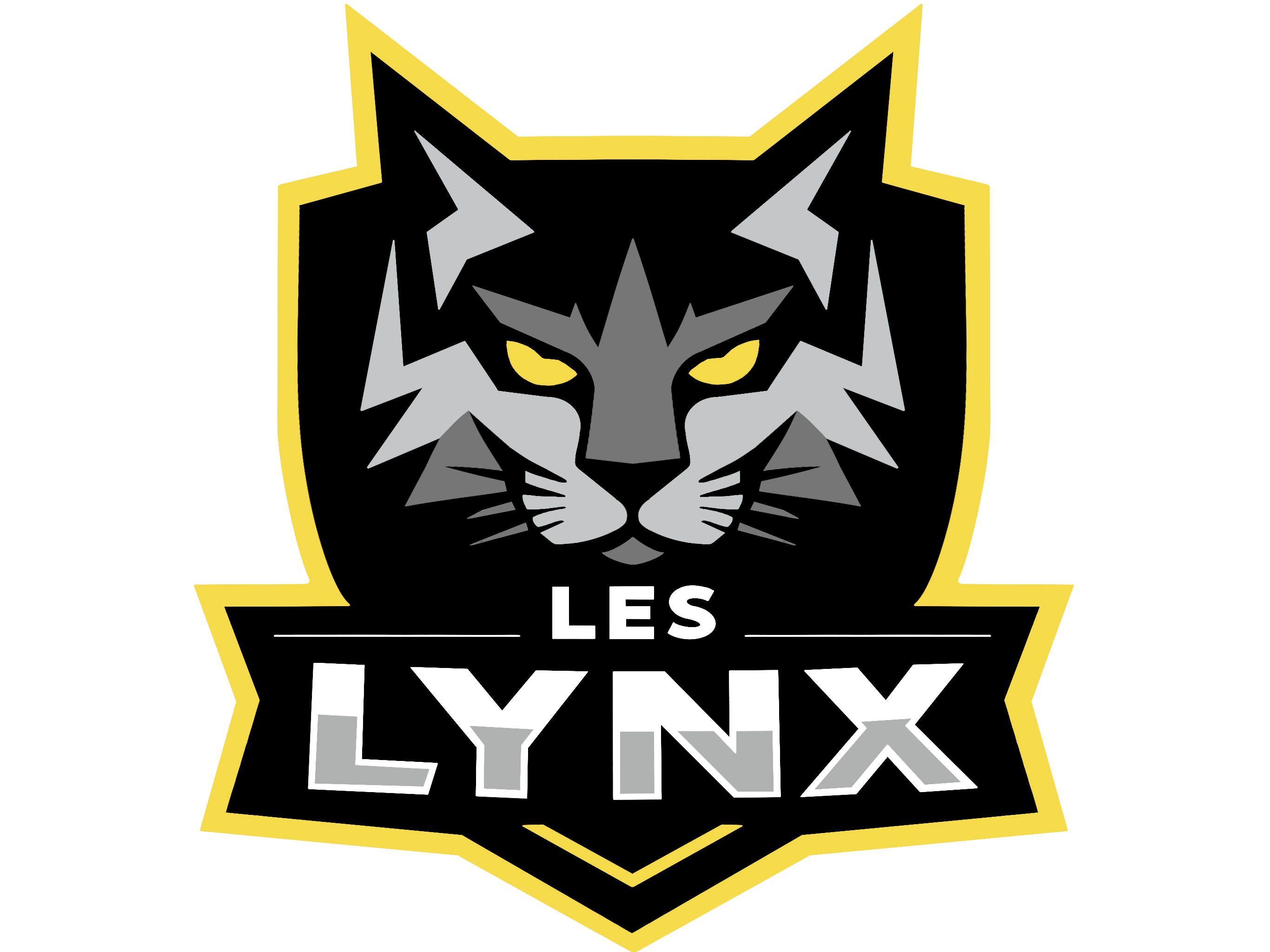 team_logo