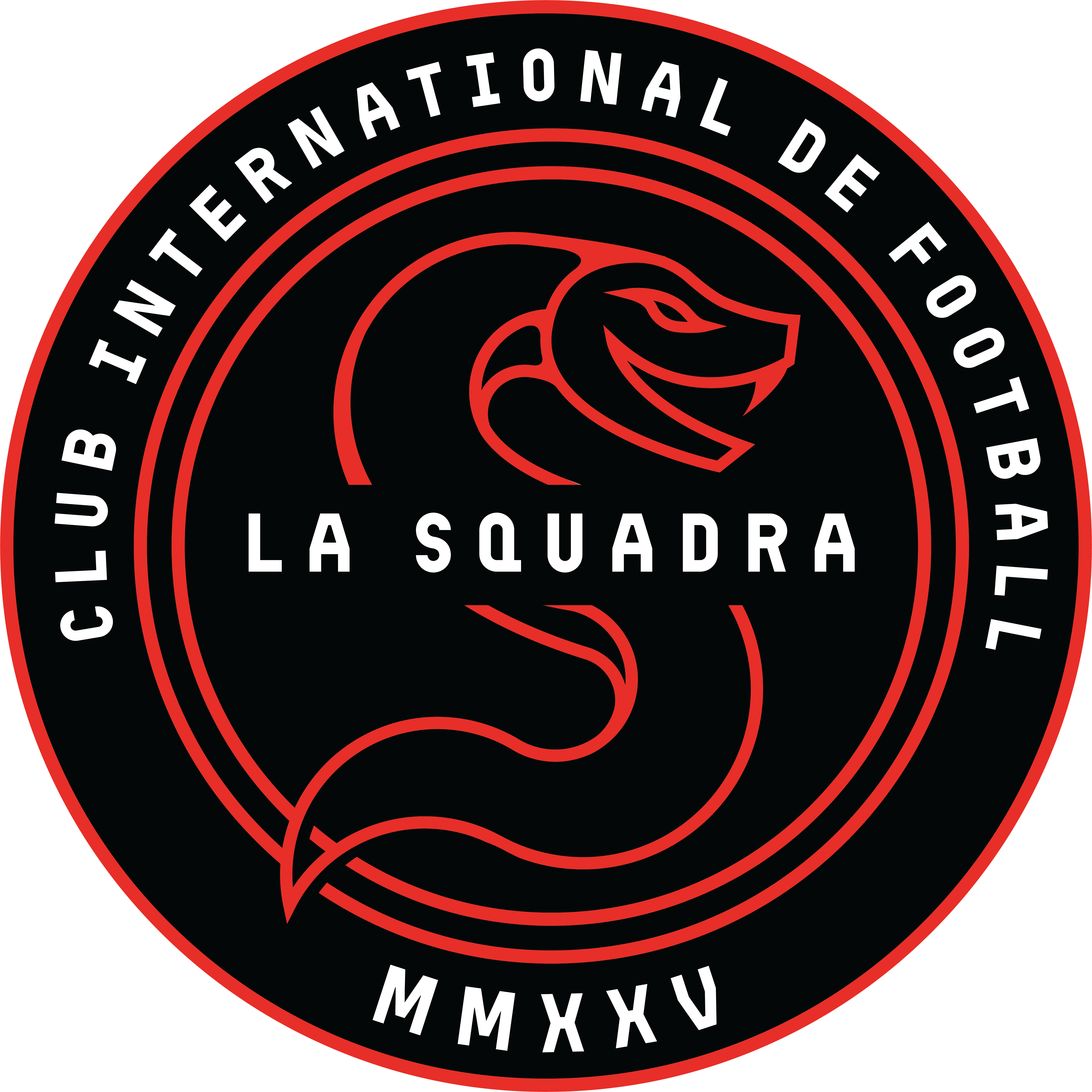 team_logo
