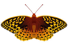 team_logo