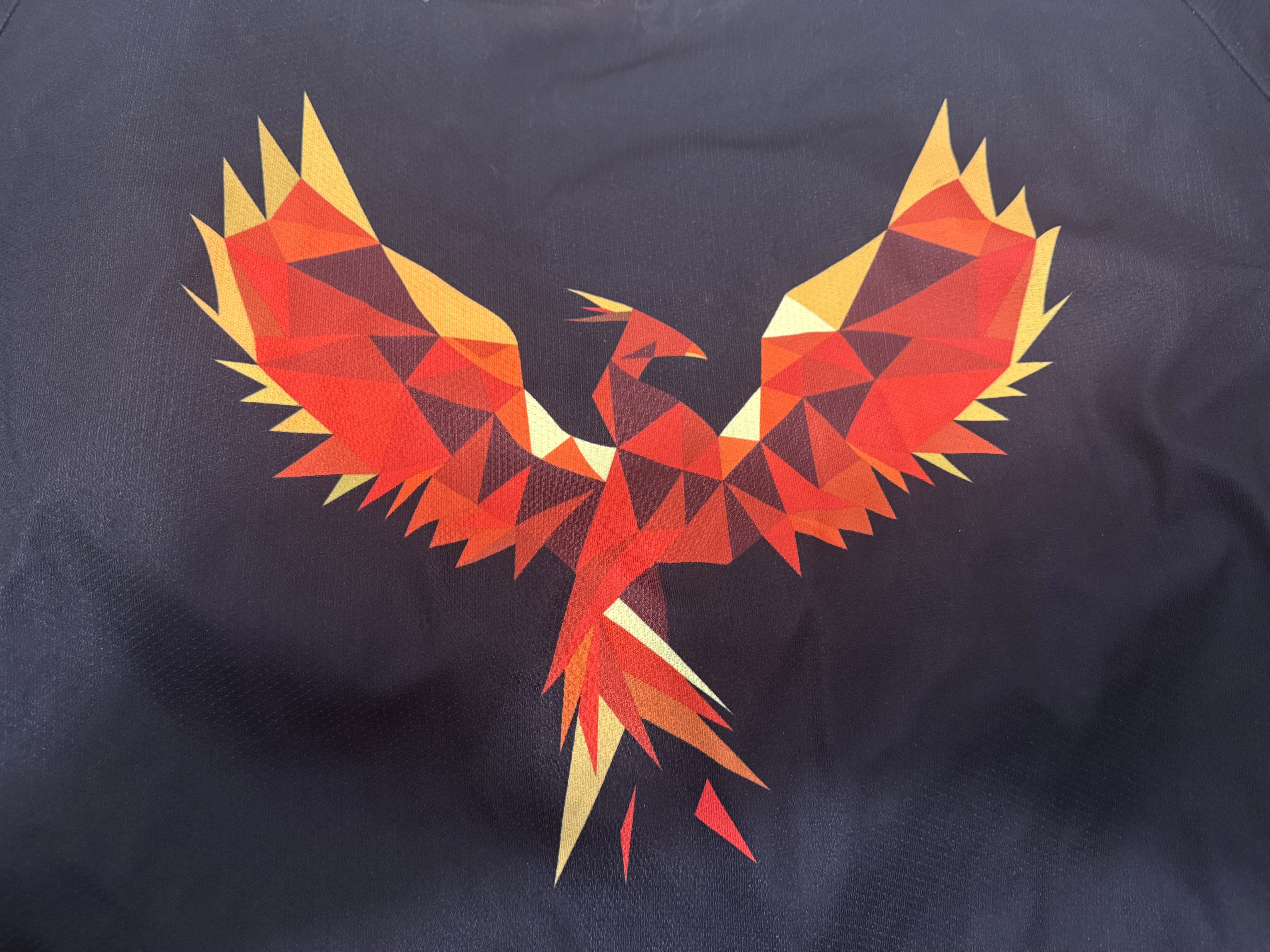 team_logo
