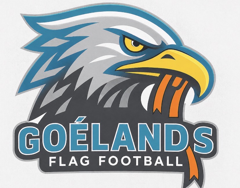 team_logo