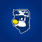team_logo