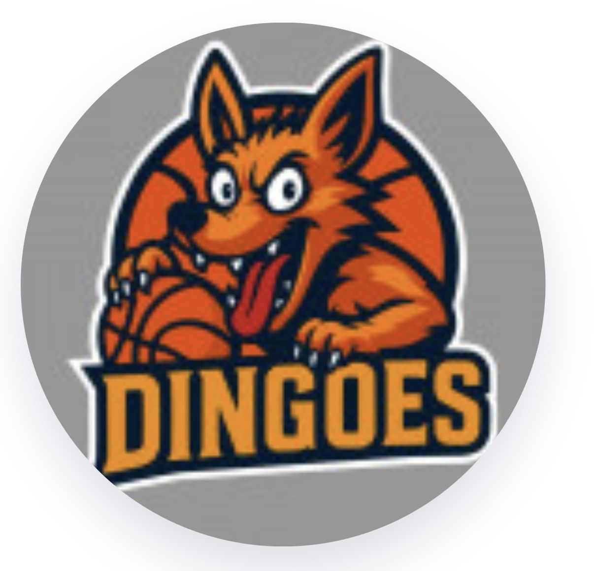 team_logo